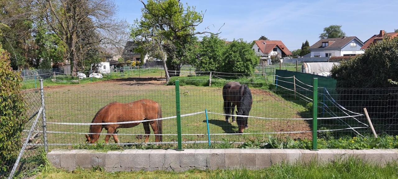 Apartamento Gaeste Haus Am See Düren - Eifel Exterior foto